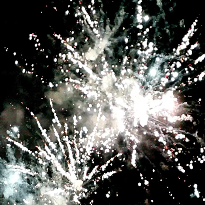 Esqueletos Explosivos™ 49 Shots Standard Aerials - Image 2