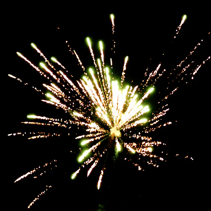 Flower Thunder™ 5 Shot XL® Roman Candles - Image 2