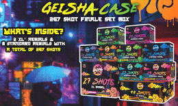 Geisha® Case 267 Shots Sampler® - Image 4