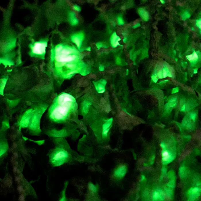 Glow Popz™ Glow-in-the-dark Snaps - Image 2