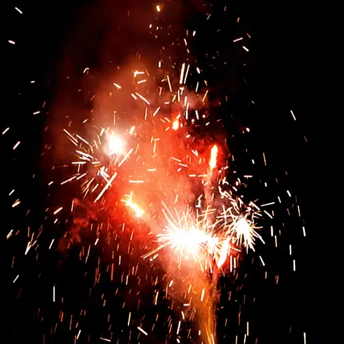 Lotus Box™ Fireworks Samplers® - Image 2