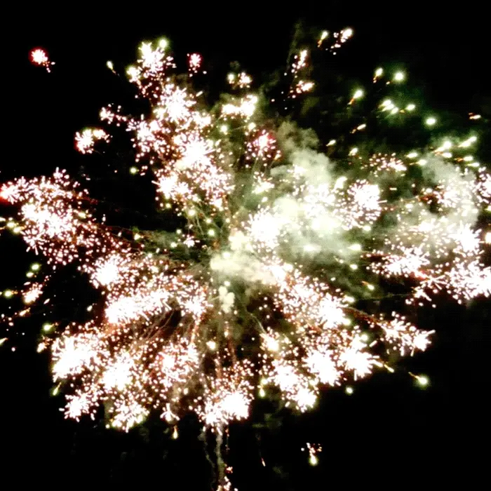 Pizza-Pocalypse™ 90 Shot Standard Aerial Finale Sets® - Image 2
