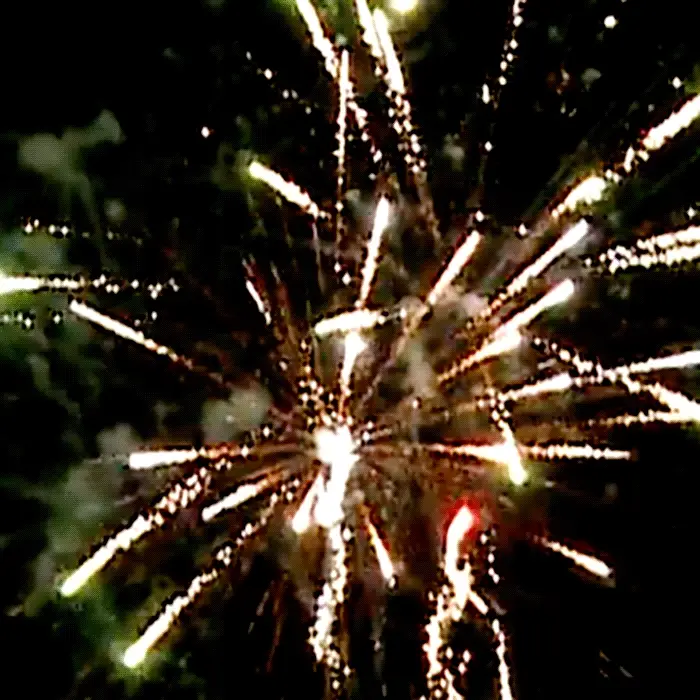Tokyo Rose™ 192 Shots XL® Aerial Finale Set® - Image 2